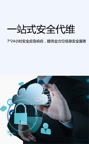 一站式安全代维